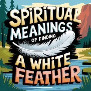 Read more about the article 8 Profound Spiritual Meanings of Finding a White Feather