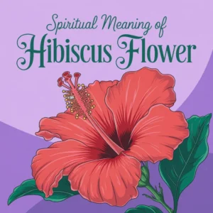 Read more about the article Spiritual Meaning of Hibiscus Flower: Secrets of this Sacred Bloom