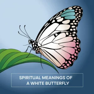 Read more about the article 11 Spiritual Meanings of a White Butterfly: Symbolism and Guidance