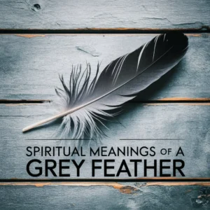 Read more about the article 12 Spiritual Meanings of a Grey Feather: Balance and Neutrality