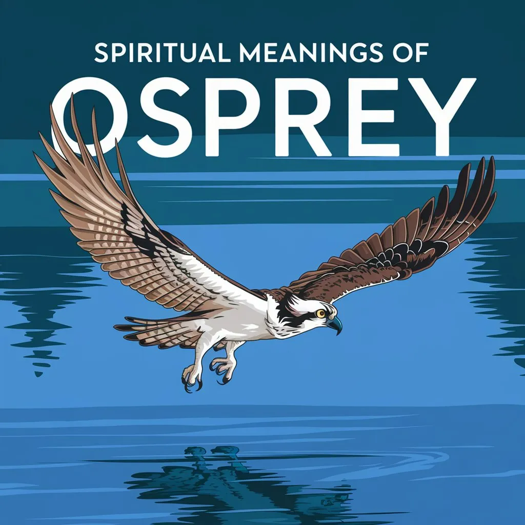 You are currently viewing 11 Spiritual Meanings & Symbolism of Osprey Revealed