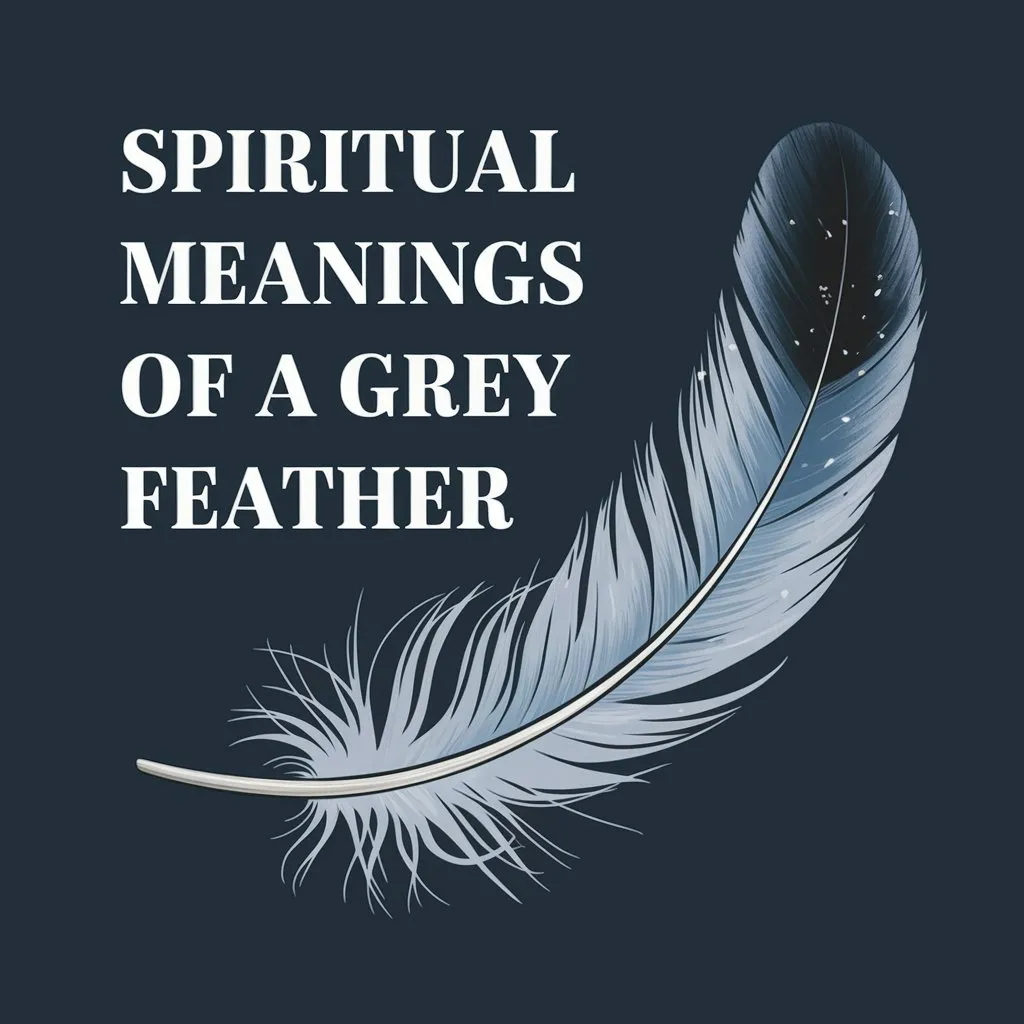 12 Spiritual Meanings of a Grey Feather: Balance and Neutrality