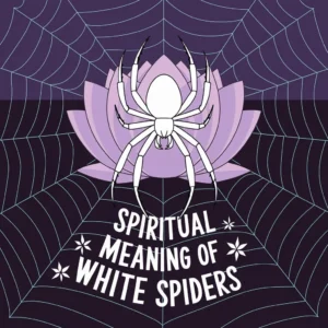 Read more about the article 15 Spiritual Meaning of White Spiders: Good Luck and Prosperity