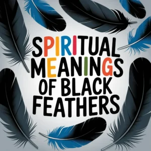 Read more about the article 11 Spiritual Meanings of Black Feathers: Their Mystical Significance