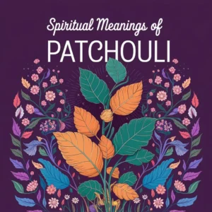 Read more about the article 12 Spiritual Meanings of Patchouli: Its Mystical Essence