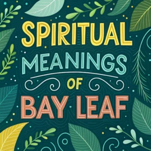 Read more about the article 13 Powerful Spiritual Meanings of Bay Leaf: Ancient Wisdoms