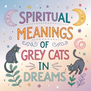 Read more about the article Spiritual Meanings & Interpretations of Grey Cats in Dreams