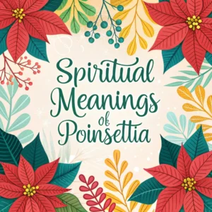 Read more about the article 14 Spiritual Meanings of Poinsettia: Nature’s Christmas Star