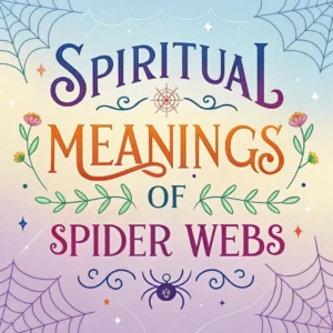 Read more about the article 15 Spiritual Meanings of Spider Webs: Mystical Ancient Wisdom