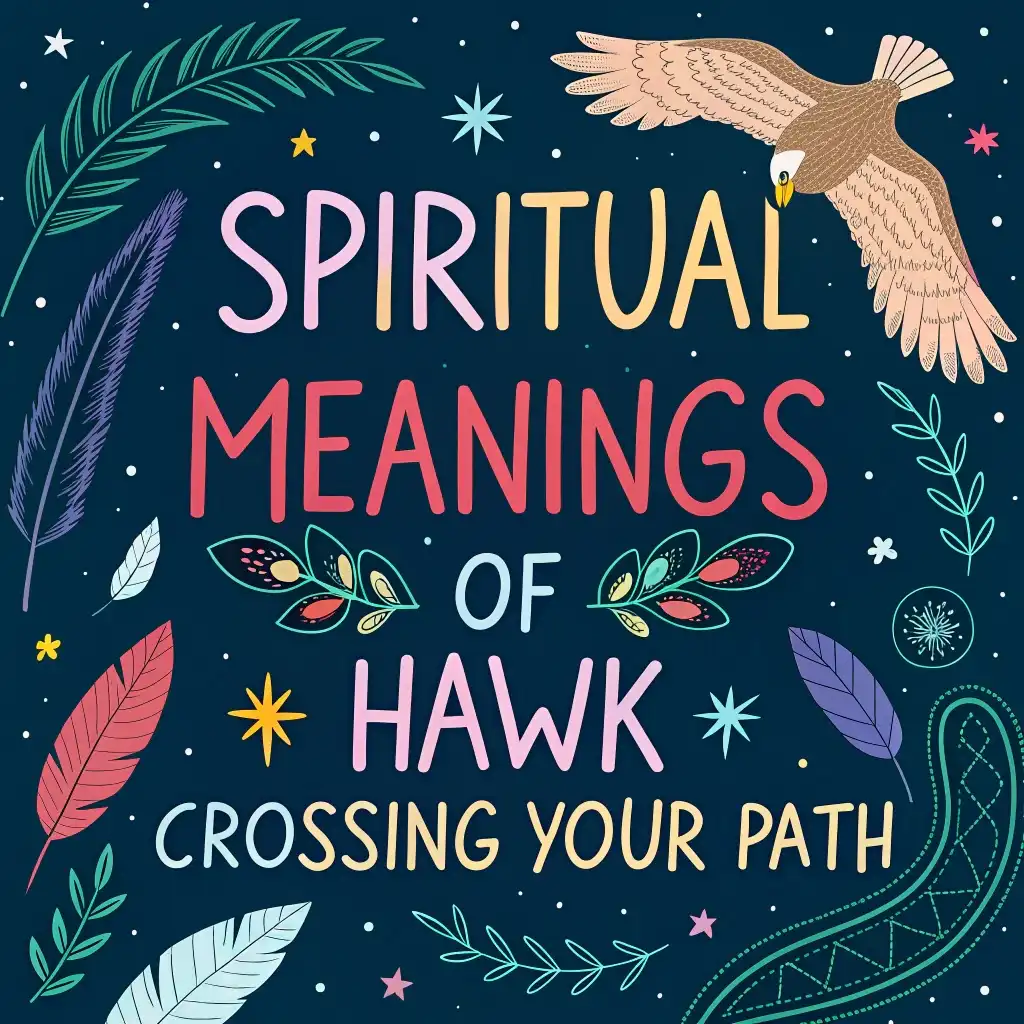 12 Spiritual Meanings of a Hawk Crossing Your Path