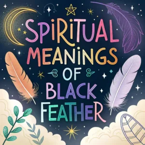 Read more about the article 13 Spiritual Meanings of a Black Feather You Need to Know