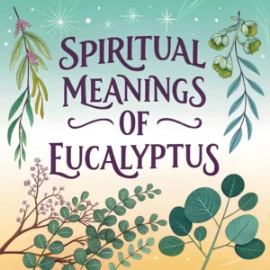 Read more about the article Spiritual Meanings of Eucalyptus: 10  Insights & Symbolism