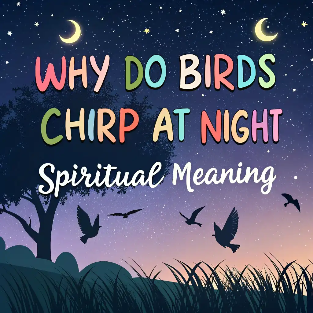 Why Do Birds Chirp at Night? Spiritual Meanings Behind It