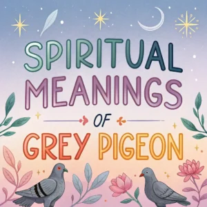 Read more about the article Spiritual Meanings of Grey Pigeon: Deeper Symbolism