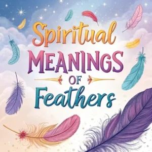 Read more about the article 17 Spiritual Meanings of Feathers: Guide to Their Magic