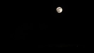 Read more about the article Symbolism of New Moon May 2025