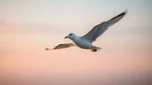 Read more about the article Seagull Spiritual Meaning: Symbolism & Totem