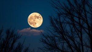Read more about the article Symbolism of Full Moon June 11 2025